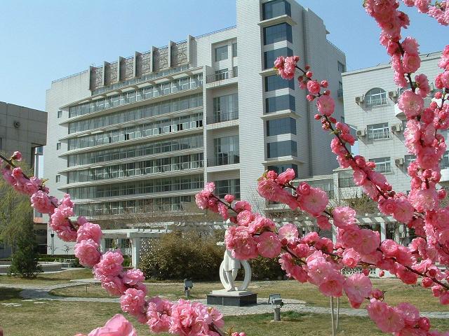 大雞巴操美女視頻